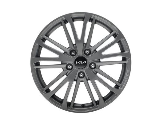 P2400ADE07NGR 17